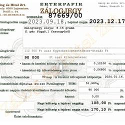 D-87669 sz. zálogjegy