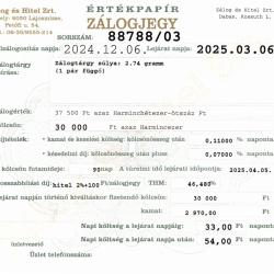 D-88788 sz. zálogjegy