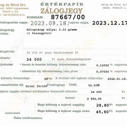 D-87667 sz. zálogjegy