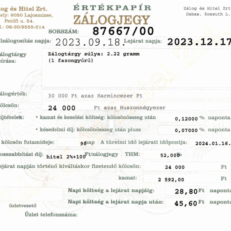 D-87667 sz. zálogjegy