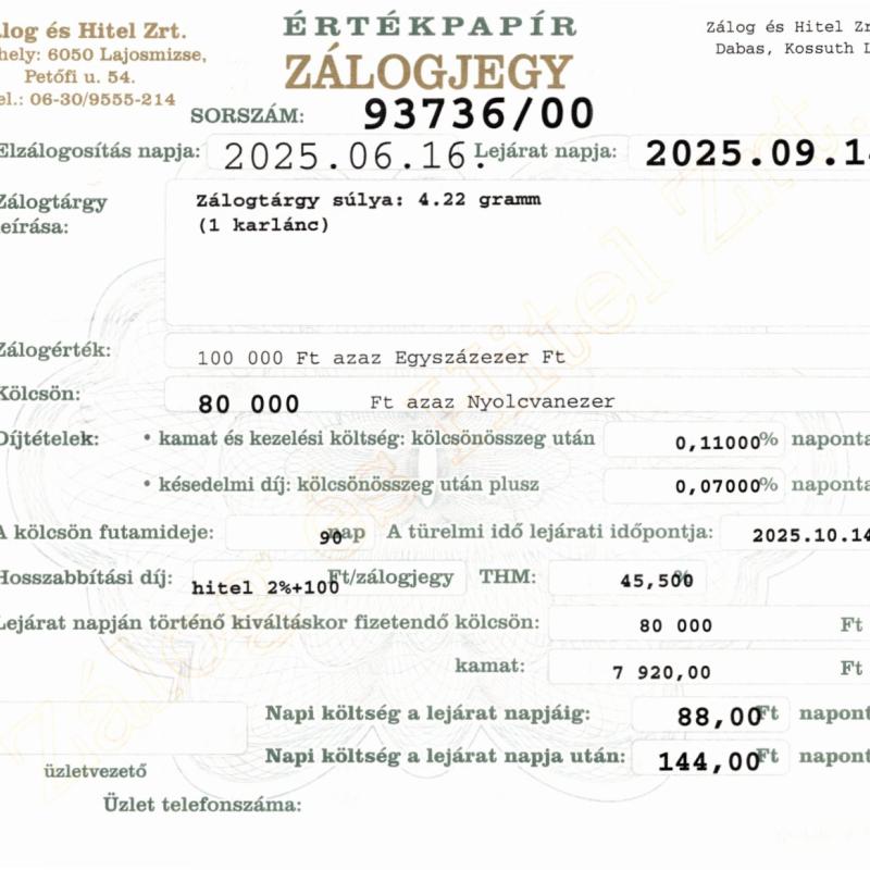 D-93736 sz. zálogjegy