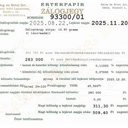 D-93300 sz. zálogjegy