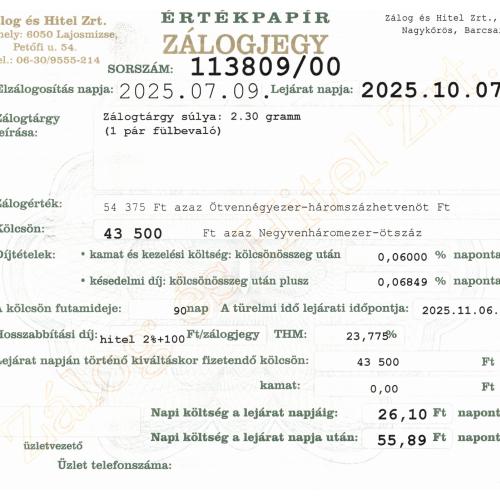 N-113809 sz. zálogjegy